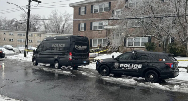 19-Year-Old Woman, Toddler Found Stabbed to Death in Connecticut Apartment