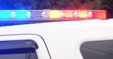 4-year-old finds gun, accidentally shoots himself in Davenport, police say