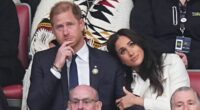 AMANDA PLATELL: Harry and Meghan's latest act was nauseating - I can't recall anything more miscalculated