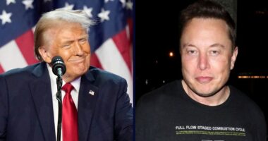 Allies of Musk, DOGE now 'special employees' of Treasury: DO