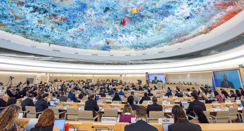 American censored by UN Human Rights Council, accused of using 'disrespectful language'