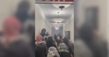 Anti-Israel protesters allegedly assault employee during building takeover at Barnard College in New York City