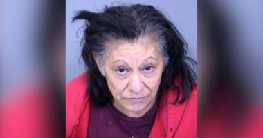 Arizona grandmother indicted in death of epileptic teen kept in makeshift cage