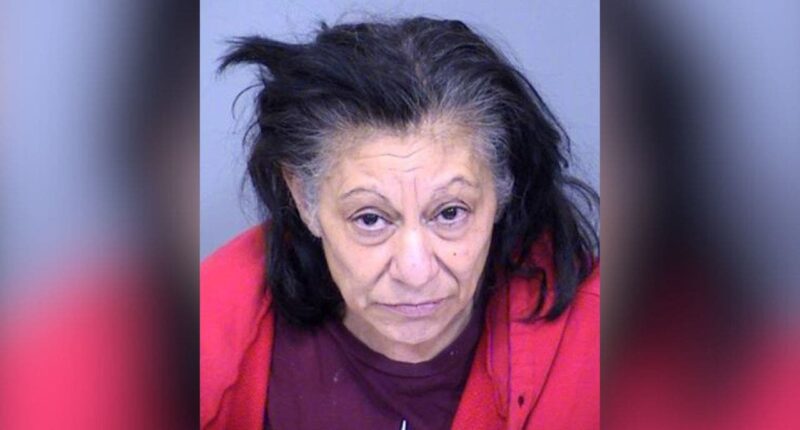 Arizona grandmother indicted in death of epileptic teen kept in makeshift cage