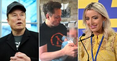 Ashley St. Clair files paternity lawsuit against Elon Musk seeking full custody of 5-month-old baby