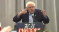 Bernie Sanders kicks off 'fighting oligarchy' tour where he raged against Elon Musk and Trump with dire warning