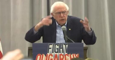 Bernie Sanders kicks off 'fighting oligarchy' tour where he raged against Elon Musk and Trump with dire warning