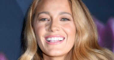 Blake Lively Claims Her Kids Are 'Playing With Explosive Devices' In Resurfaced Interview