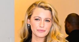 Blake Lively's Another Simple Favor director Paul Feig addresses fan theory she took control of film