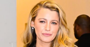 Blake Lively's Another Simple Favor director Paul Feig addresses fan theory she took control of film