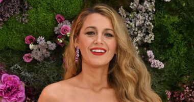 Blake Lively's remaining supporters in Hollywood revealed as she's wiped from Colleen Hoover's Instagram