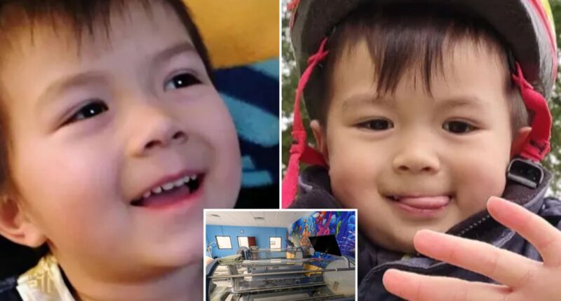 Boy, 5, killed as hospital oxygen chamber explodes while he lay inside in front of horrified mom as cops launch probe