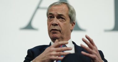 Brace for a 'political revolution' in Europe, UK's Nigel Farage says after Vance's speech in Munich