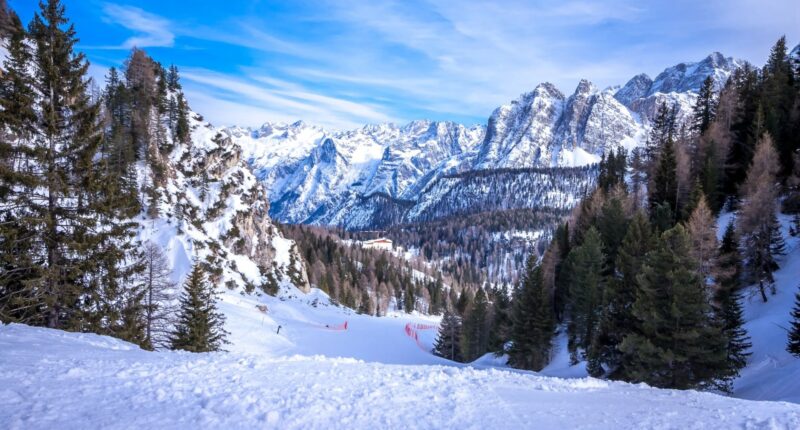 British schoolboy, 14, dies in horror skiing accident during a half-term family holiday in northern Italy