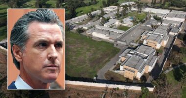 California probation department pleads for Newsom's help supervising violent ex-cons: 'Never been like this'