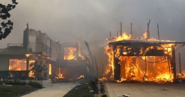 California wildfires: State Farm seeks an emergency insurance rate increase after LA wildfires