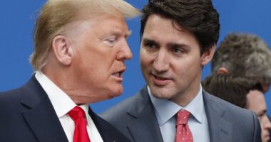 Canada's Justin Trudeau caves to Trump's tariff threat and strikes billion-dollar border agreement