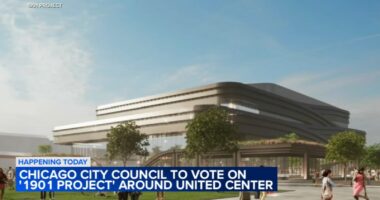 Chicago City Council set to take up 1901 Project around United Center, $830M in bonds