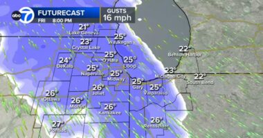 Chicago weather forecast: AccuWeather Alert for more snow moving through area Friday evening, Saturday | RADAR