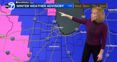 Chicago weather forecast: Snow storm moving into area with 3-6 inches of snowfall accumulation expected | Radar