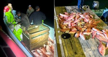 Coast Guard detains Mexican fishermen with over 1,600 pounds of illegally caught fish