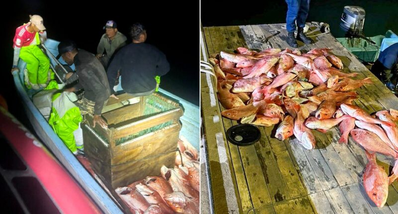 Coast Guard detains Mexican fishermen with over 1,600 pounds of illegally caught fish