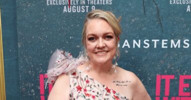 Colleen Hoover Returns to IG, Removes Blake Lively and Justin Baldoni Pics