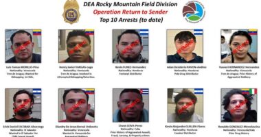 Colorado's top 10 drug criminals arrested, facing deportation under DEA operation