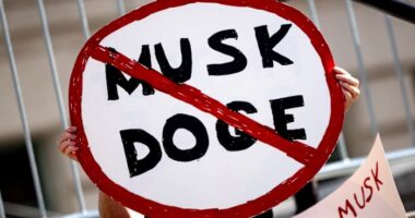 DOGE notches courtroom wins as Elon Musk crusades to slash federal government