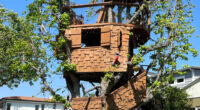 Dad forced to tear down treehouse he built for kids 24 years ago due to battle with city – and he has to pay $50k