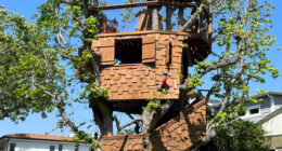 Dad forced to tear down treehouse he built for kids 24 years ago due to battle with city – and he has to pay $50k