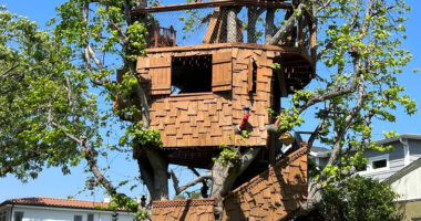 Dad forced to tear down treehouse he built for kids 24 years ago due to battle with city – and he has to pay $50k