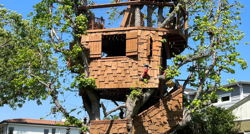 Dad forced to tear down treehouse he built for kids 24 years ago due to battle with city – and he has to pay $50k