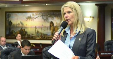 Debbie Mayfield can be on the ballot for Florida Senate special election, Supreme Court rules