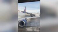 Delta Airlines, Japan Airlines planes collide on the ground in Seattle