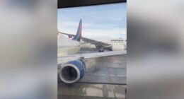 Delta Airlines, Japan Airlines planes collide on the ground in Seattle