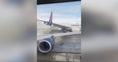 Delta Airlines, Japan Airlines planes collide on the ground in Seattle