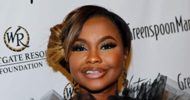 Did Phaedra Parks Throw Shade At The 'Married To Medicine' Cast Before Skipping The Reunion?