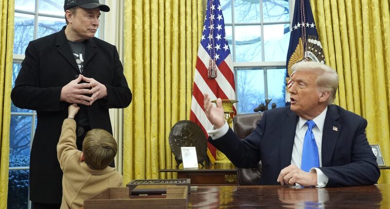 Donald Trump mesmerized by Elon Musk's son X as four-year-old steals the show at Oval Office press conference