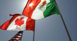 Donald Trump tariffs on Canada, Mexico: Justin Trudeau and Claudia Sheinbaum respond; Trump says Americans could feel 'some pain'