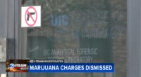 DuPage County state's attorney dismisses marijuana DUI charges after faulty blood tests from University of Illinois Chicago AFTL