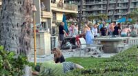 'Earth-shaking' Maui luxury resort explosion injures 7 at grill area