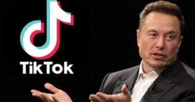 Elon Musk Directly Addresses Ongoing TikTok Acquisition Speculation