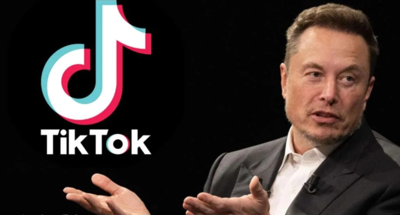 Elon Musk Directly Addresses Ongoing TikTok Acquisition Speculation