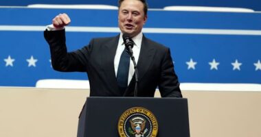 Elon Musk creates confusion about IRS' Direct File — but the free tax program is still available