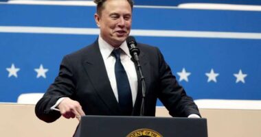 Elon Musk dodges DOGE scrutiny while expanding his power in Washington