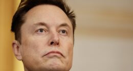 Elon Musk gets powerful new ally who vows to destroy anyone who sabotages DOGE's DC shakeup