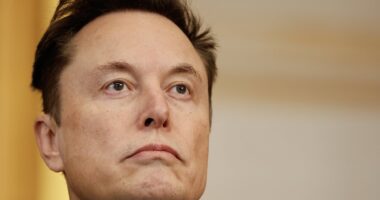 Elon Musk gets powerful new ally who vows to destroy anyone who sabotages DOGE's DC shakeup