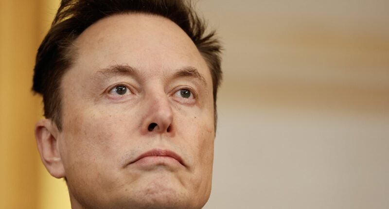 Elon Musk gets powerful new ally who vows to destroy anyone who sabotages DOGE's DC shakeup