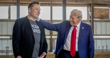 Elon Musk's New Role as Special Government Employee Under Trump